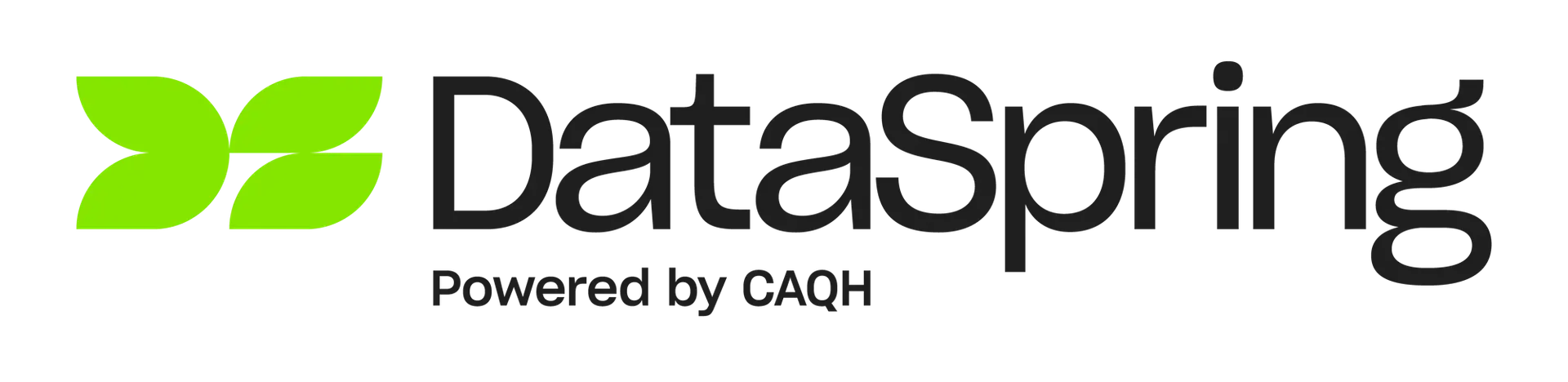 dataspring